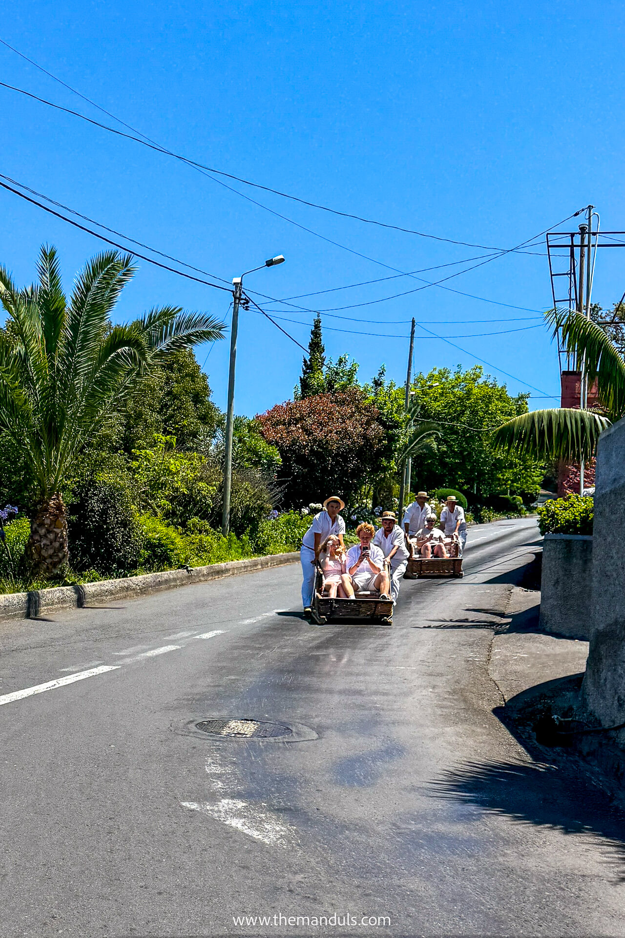 Monte Toboggan Funchal Madeira