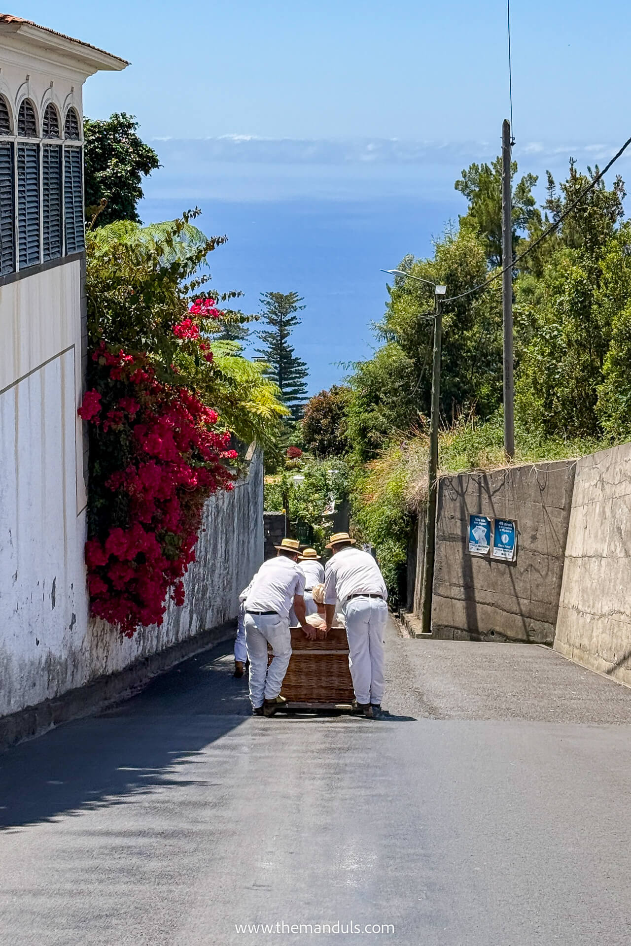 Monte Toboggan Funchal Madeira