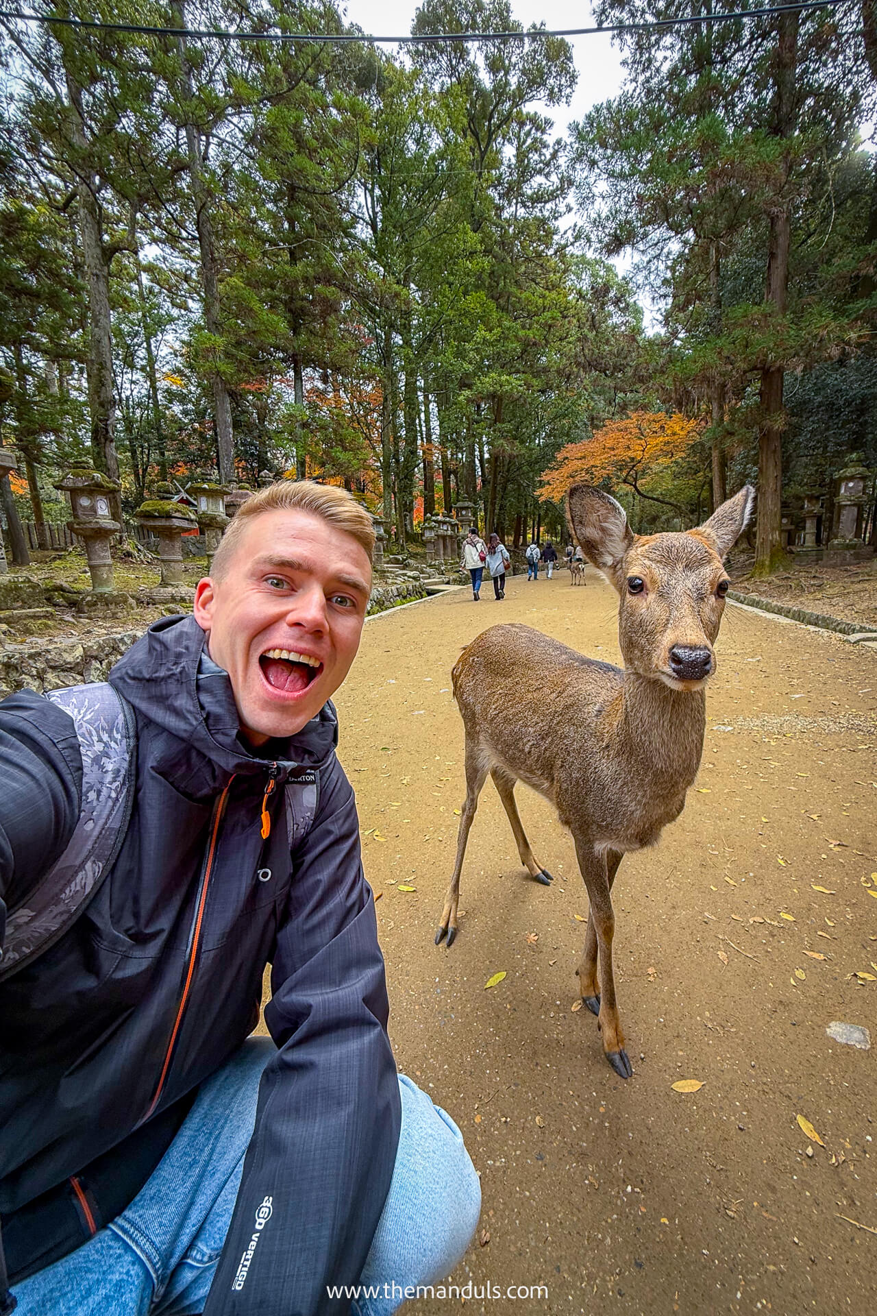 Nara Park Japan
