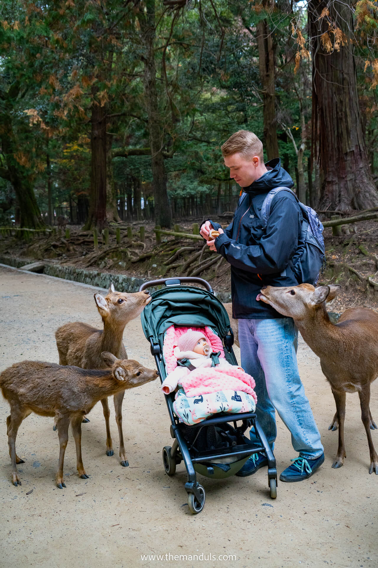Nara Park Japan
