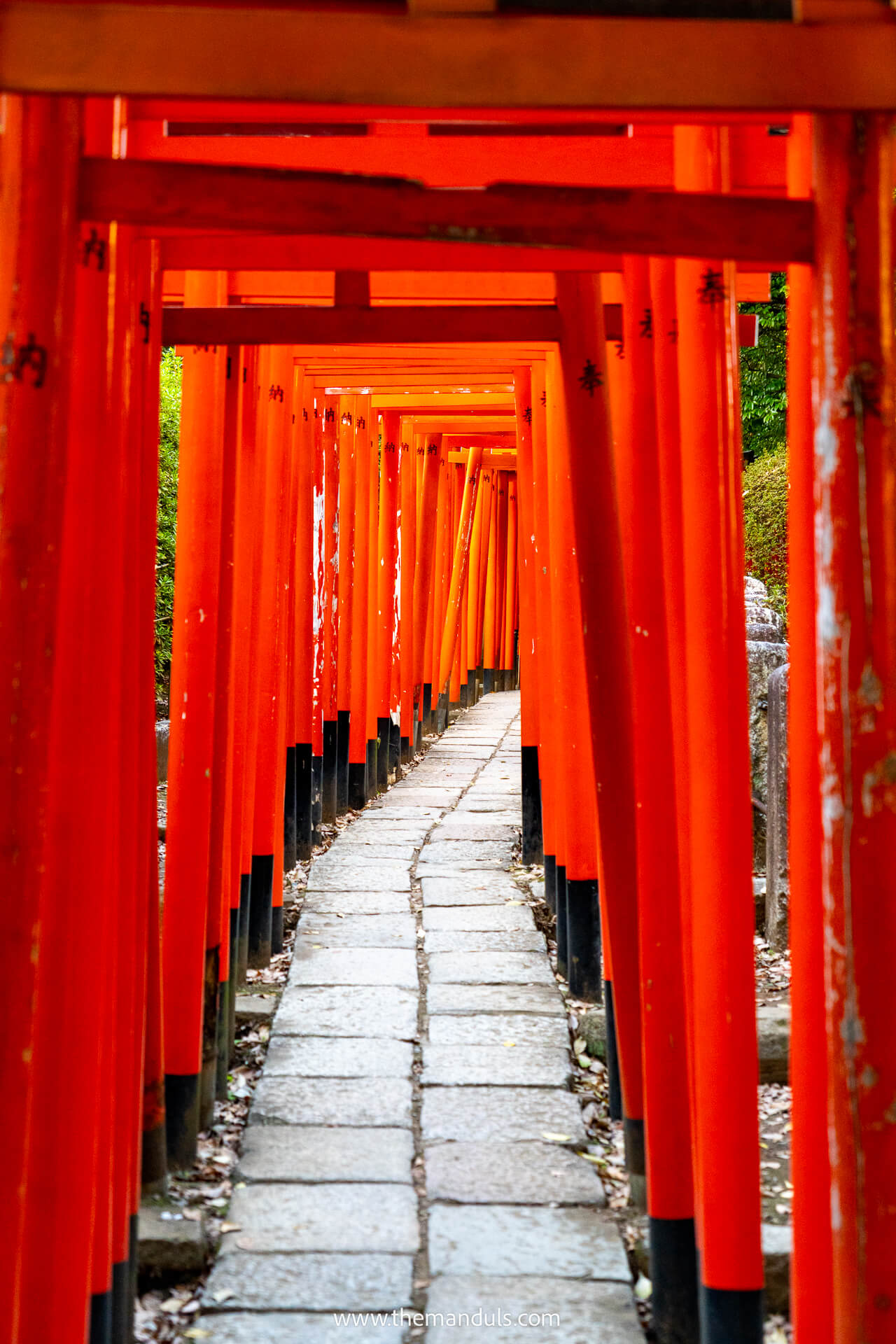 Nezu Shrine Tokyo