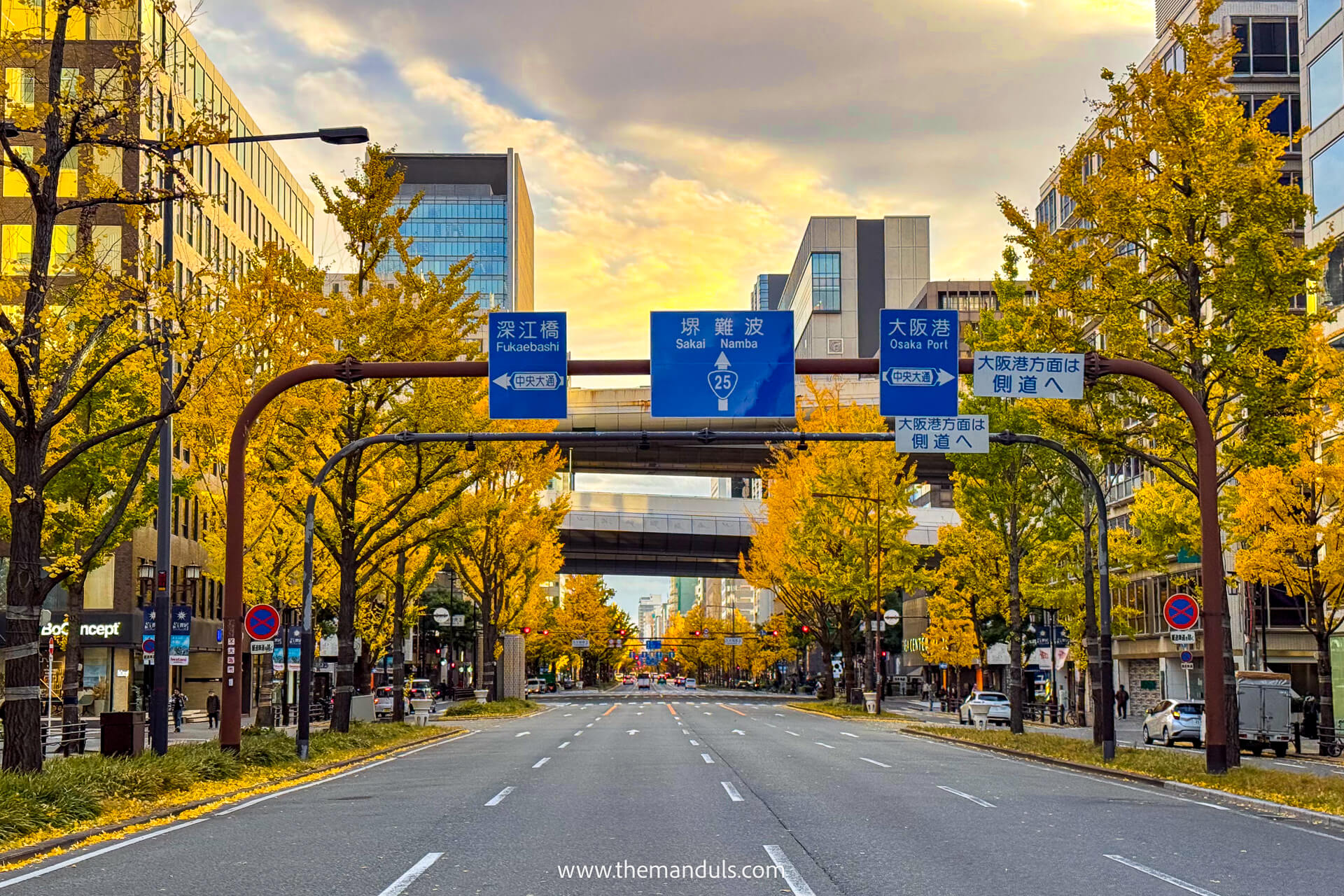 Osaka Street during autumn
