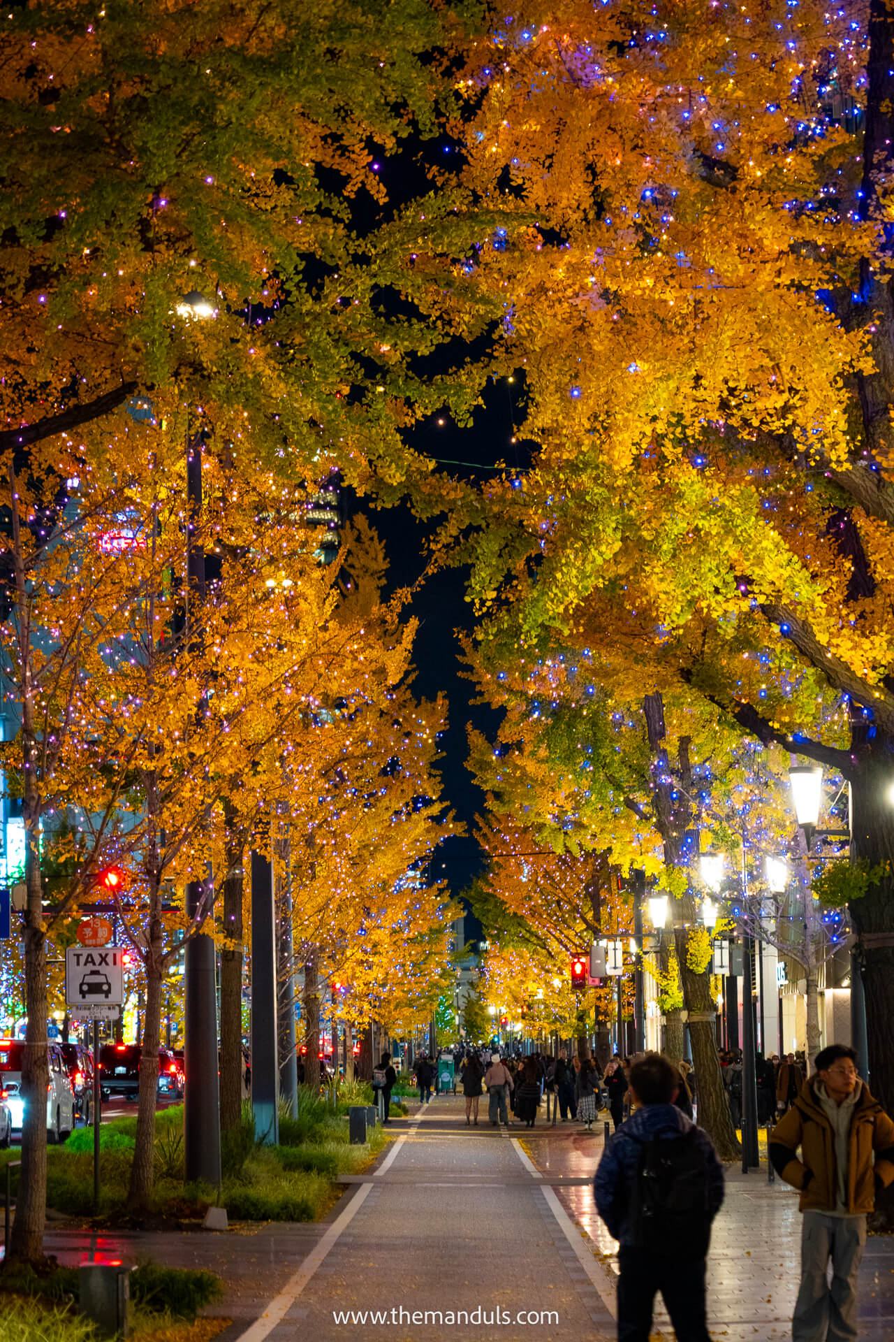 Osaka Street during autumn