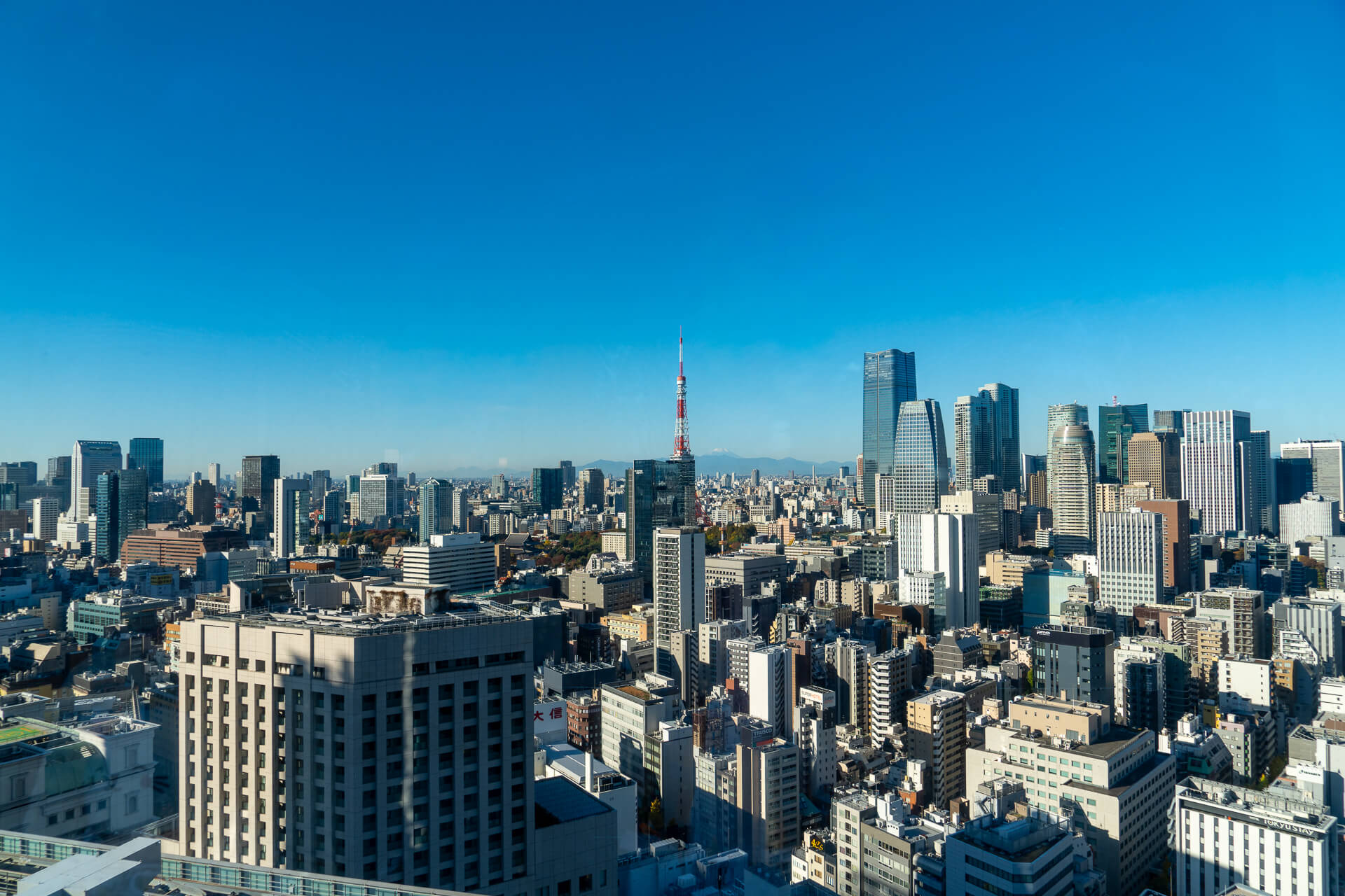 Panoramic views over Tokyo from above