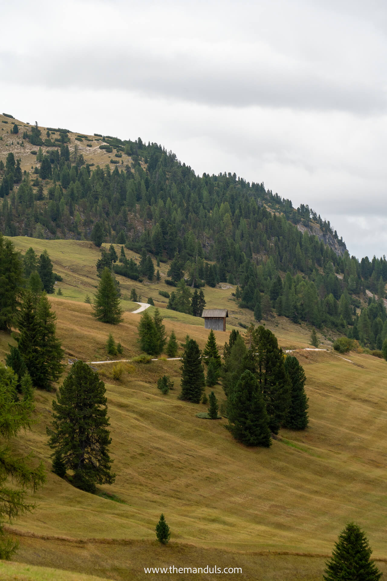 Prato Piazza Dolomites
