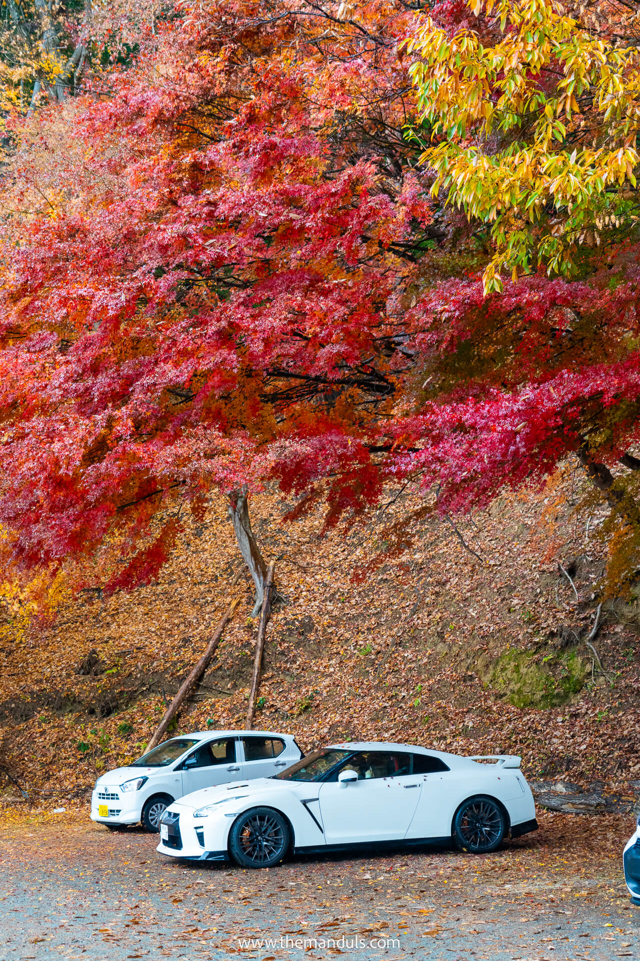 Rent a car at Mount Fuji
