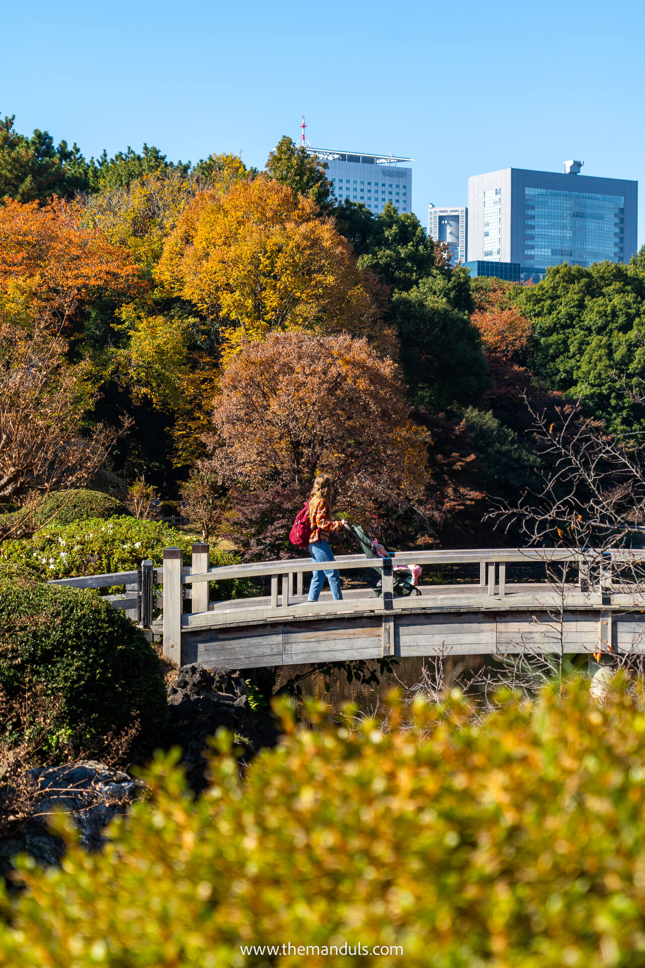 Shinjuku Gyoen National Garden 5 Shinjuku Gyoen National Garden
