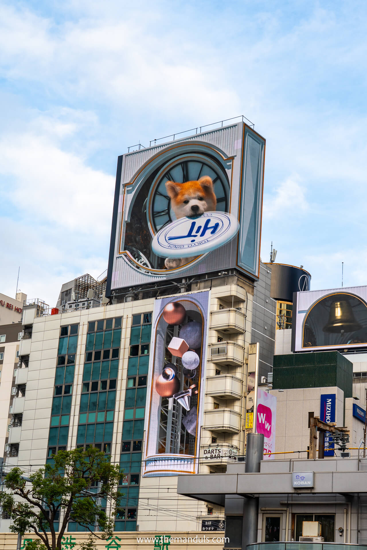 Tokyo Shibuya 3D Billboard Akita Dog Tokyo Shibuya 3D Billboard Akita Dog