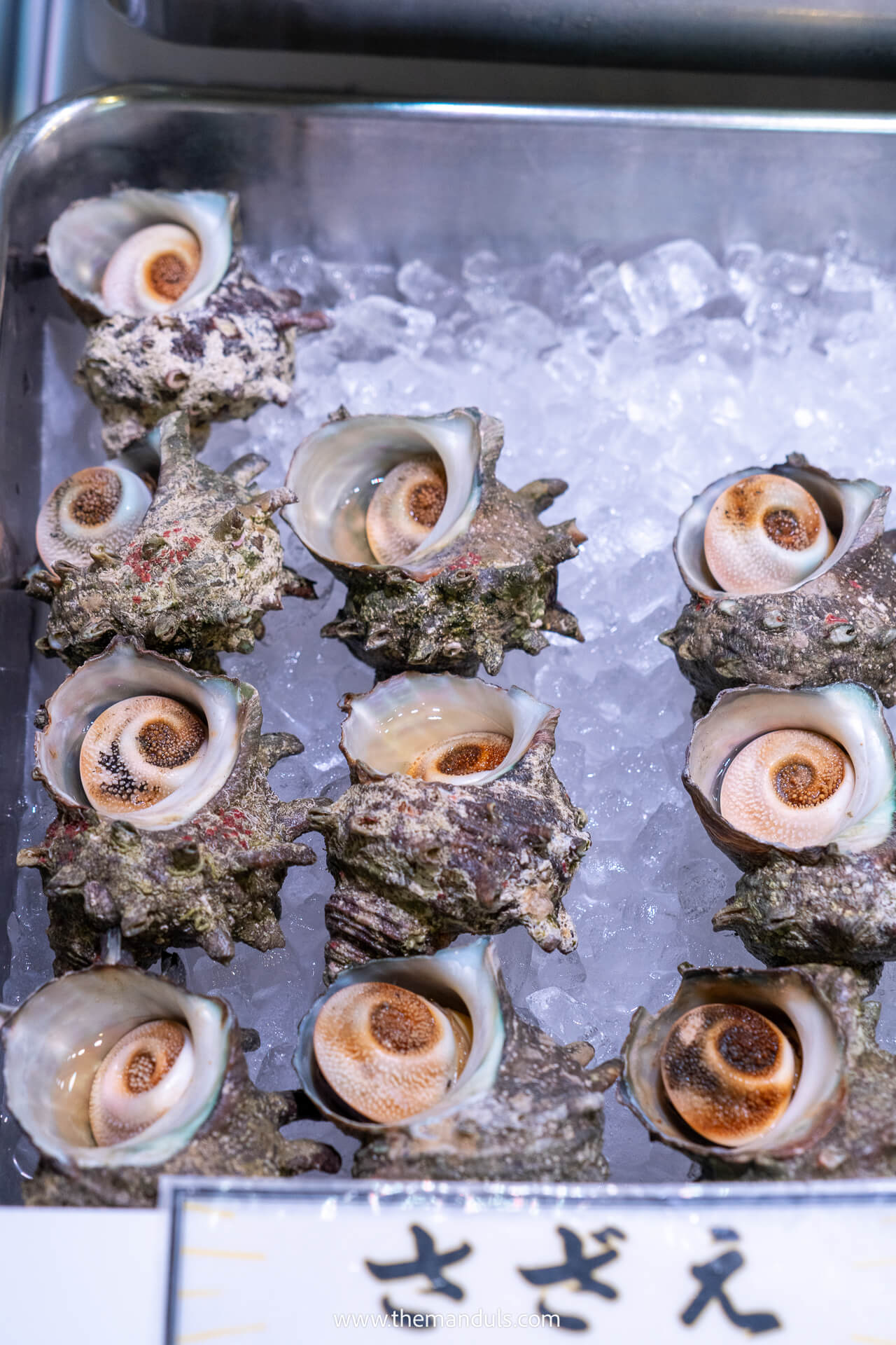 Tsukiji Fish Market Tokyo 11 Tsukiji Fish Market Tokyo