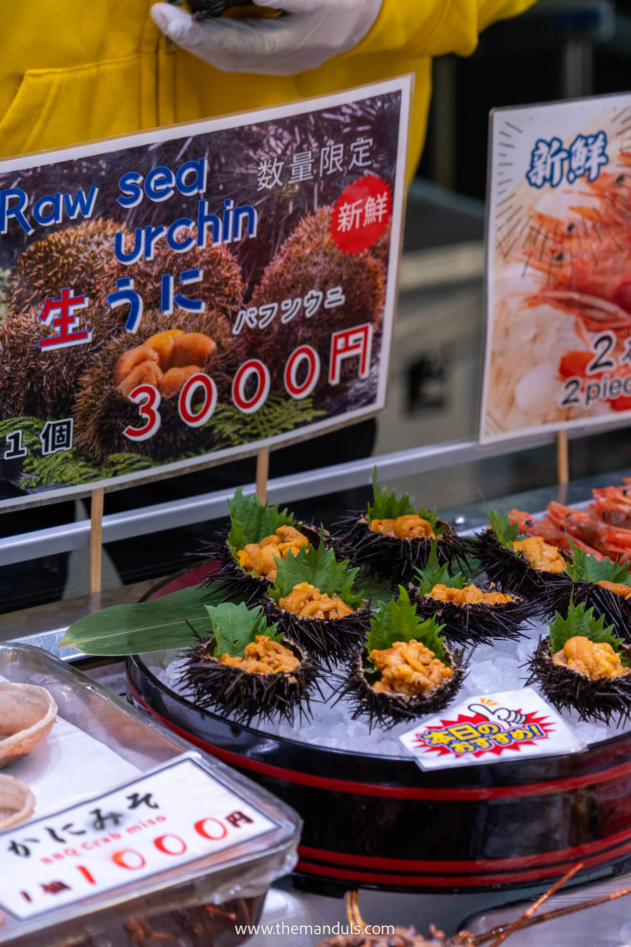 Tsukiji Fish Market Tokyo