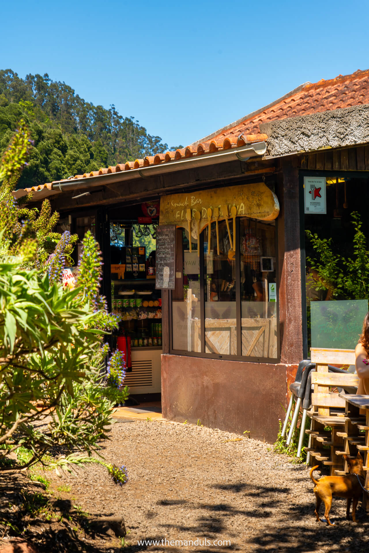 Vereda dos Balcoes PR11 hike Madeira