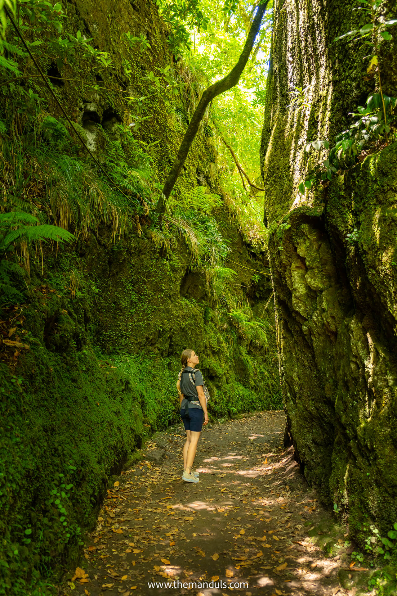 Vereda dos Balcoes PR11 hike Madeira