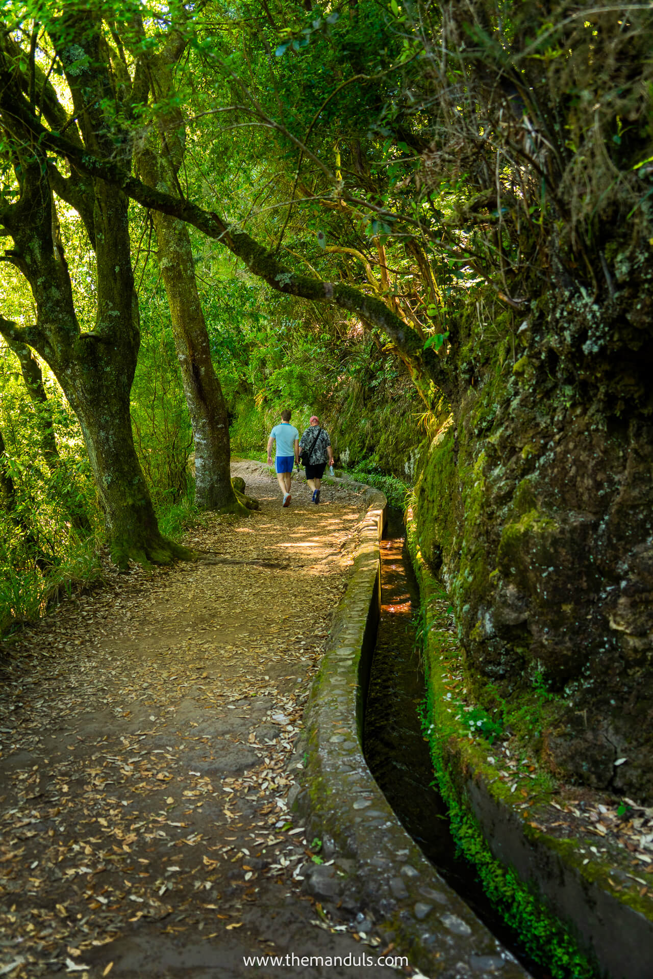 Vereda dos Balcoes PR11 hike Madeira