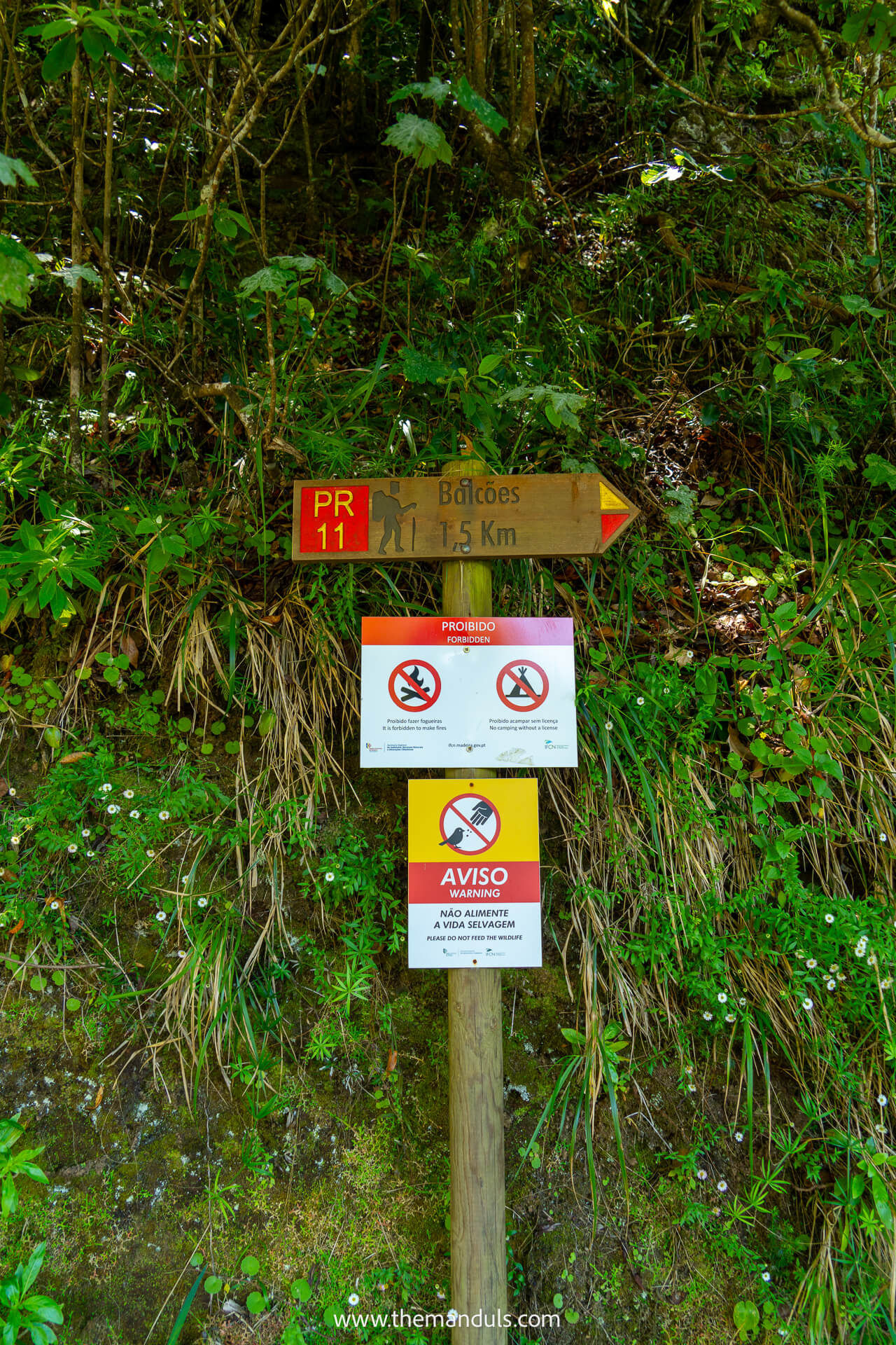 Vereda dos Balcoes PR11 hike Madeira