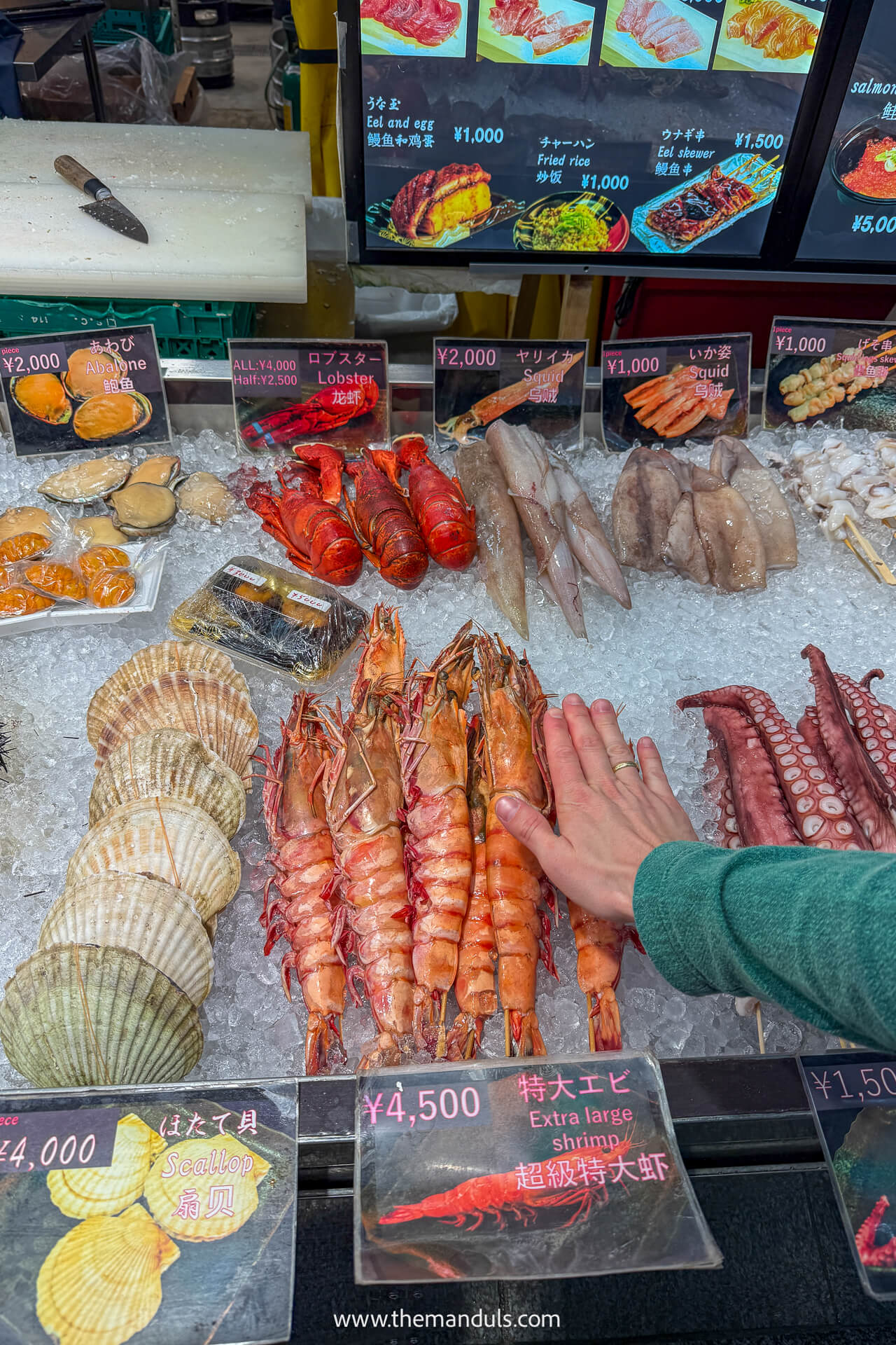 Dotonbori Osaka Japan