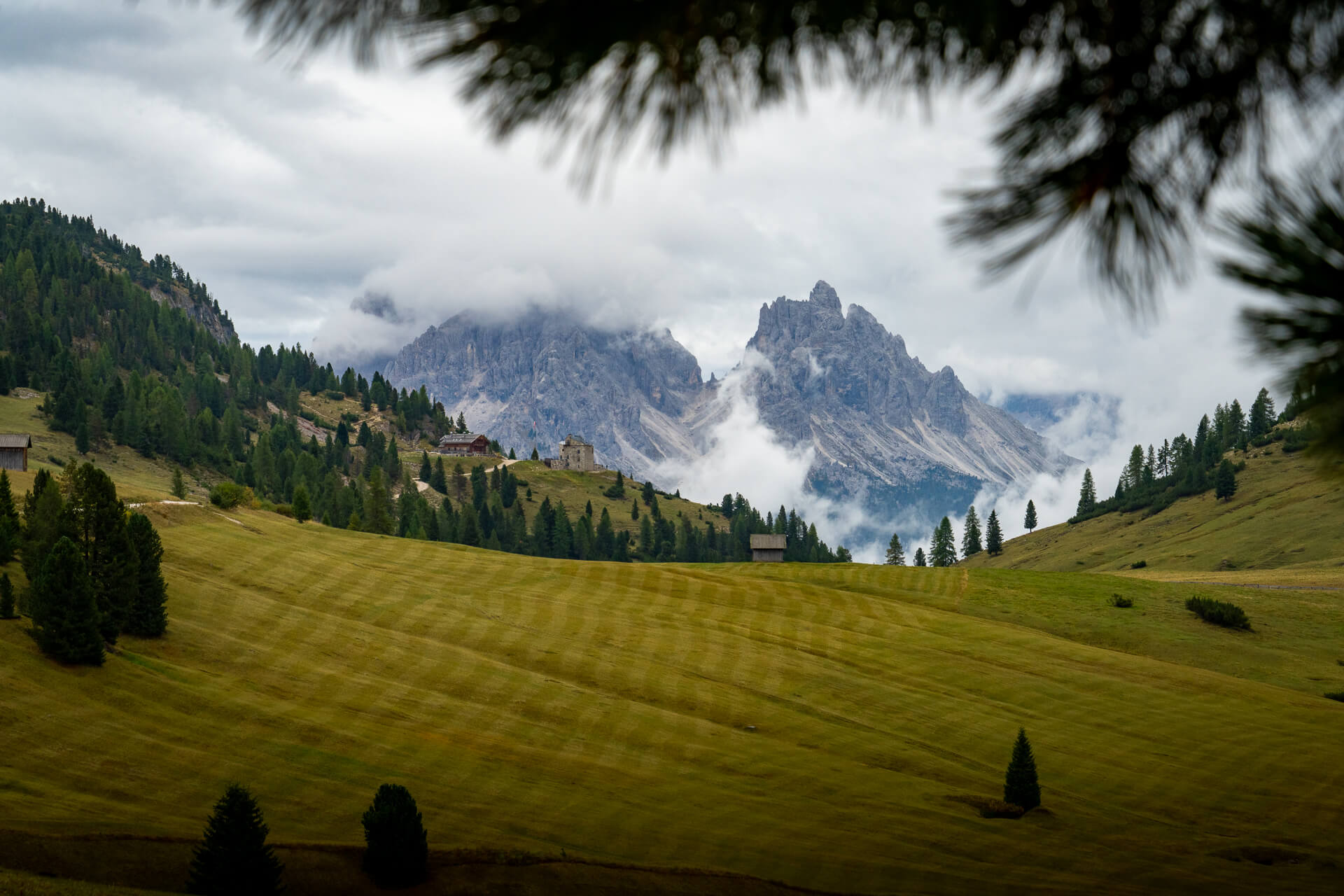 Prato Piazza Dolomites