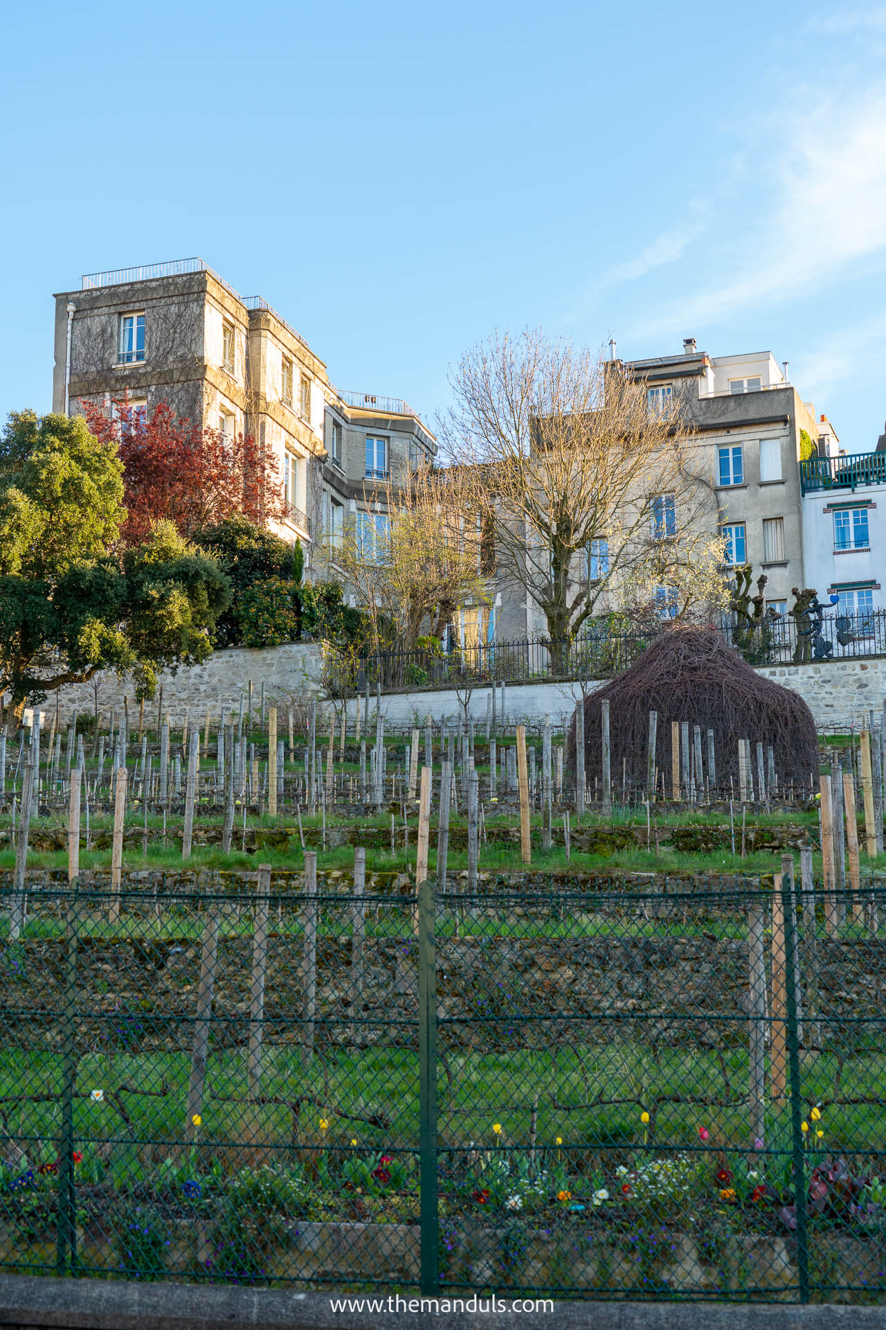 Montmartre Paris Vineyards Montmartre Paris Vineyards