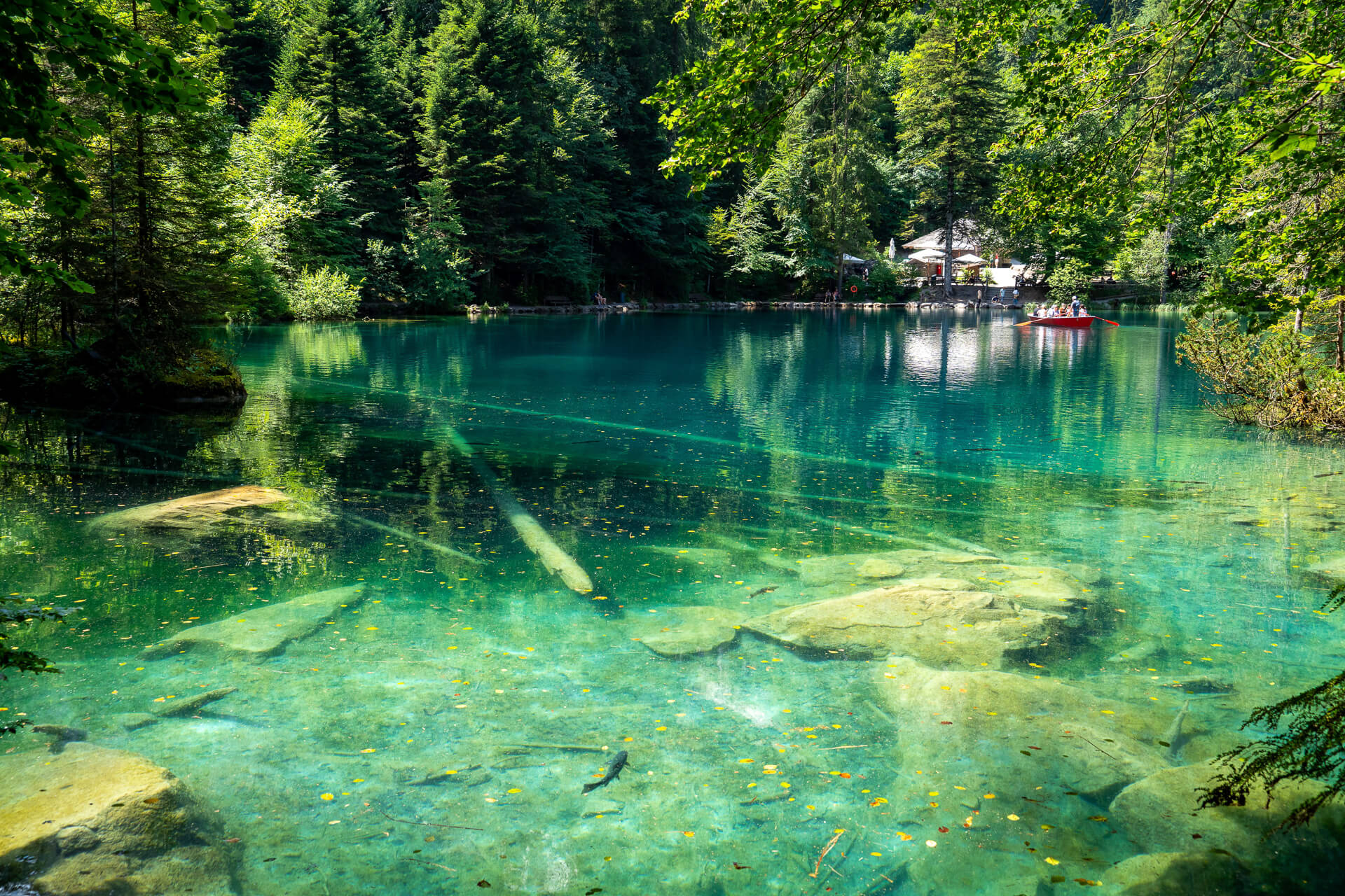 Blausee Switzerland