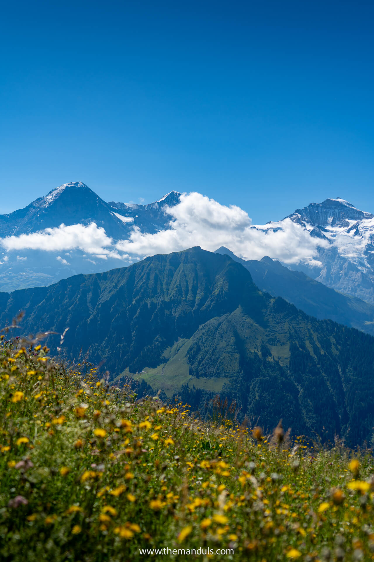 Schynige Platte Panorama Trail