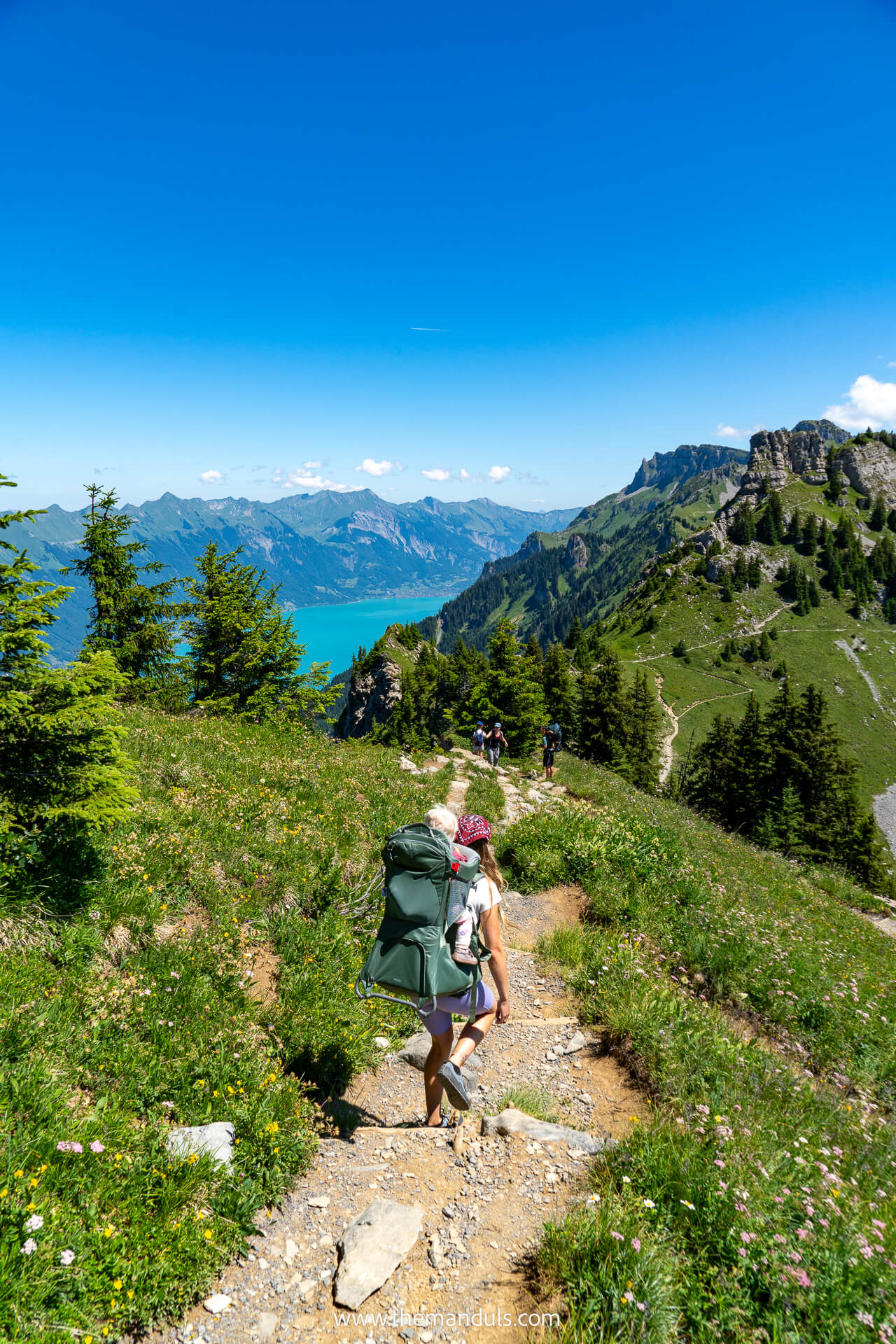 Schynige Platte Panorama Trail